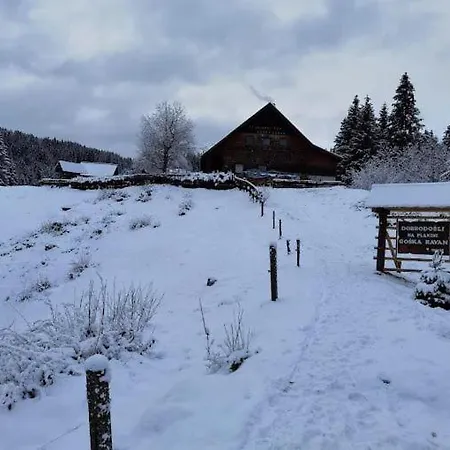 Planinski Dom Goska Ravan Habitación en casa particular